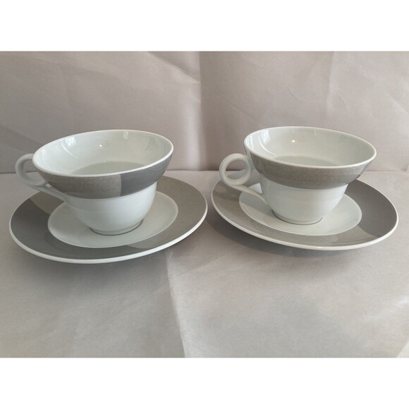 Richard Ginori Cup and Saucer Coffee Tea Italian Pair Set White Grey - Picture 1 of 10
